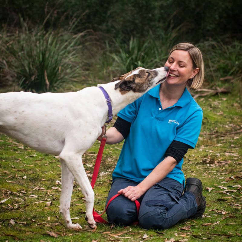 Donate ⋆ RSPCA Tasmania - Prevent Animal Cruelty | Educate & Advocate